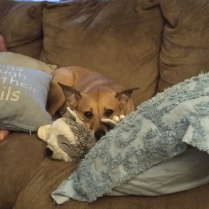 Fundraising Page: Tyson PAC ALUM! 